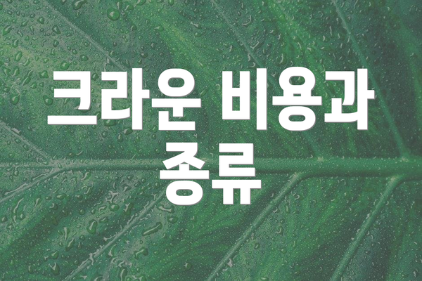 크라운 비용과 종류