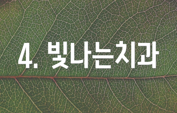 4. 빛나는치과