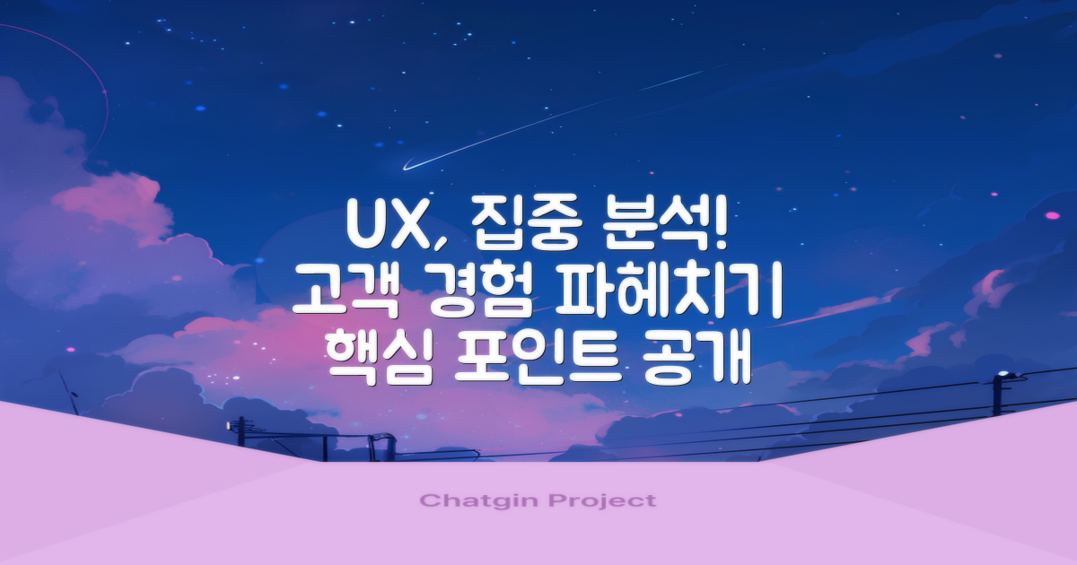 사용자 경험, 집중 분석