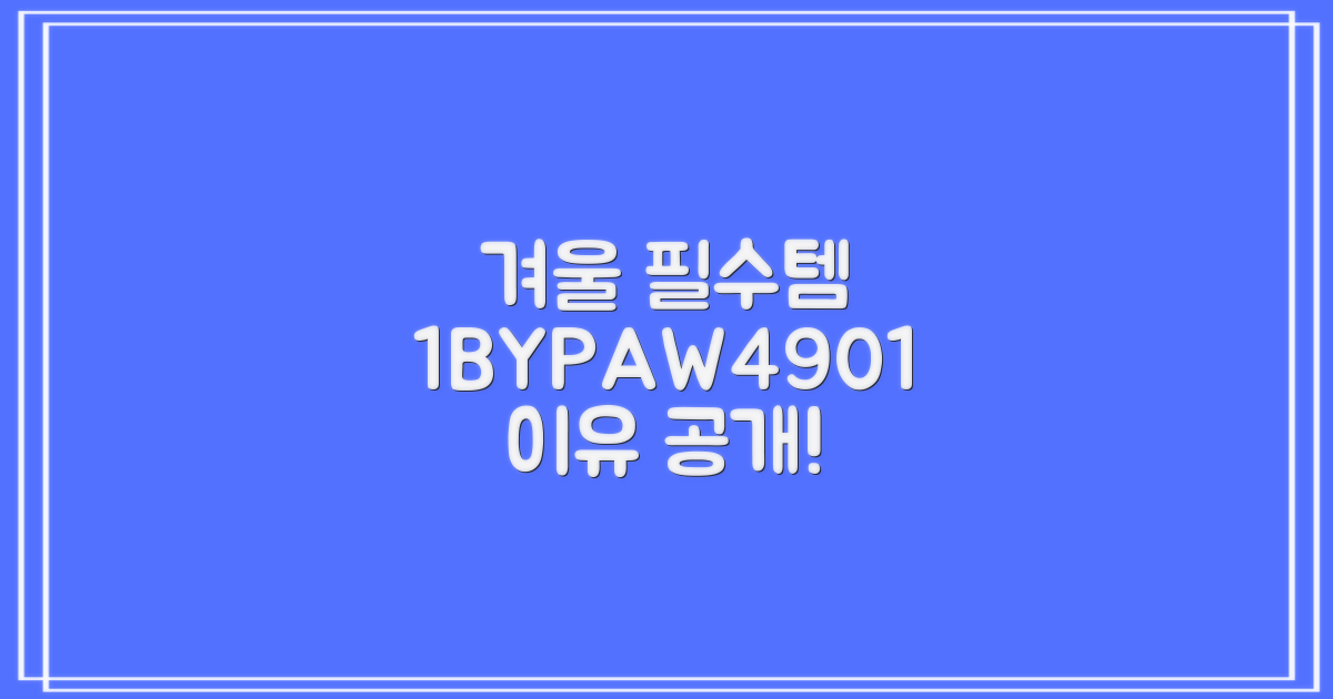 1BYPAW4901, 겨울 필수템 이유