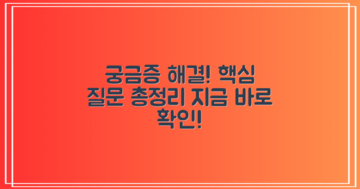 자주 묻는 질문