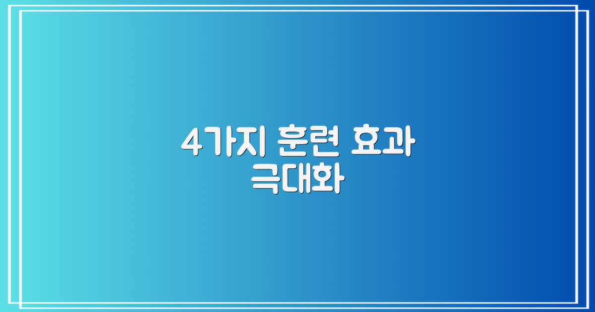 4가지 훈련 효과