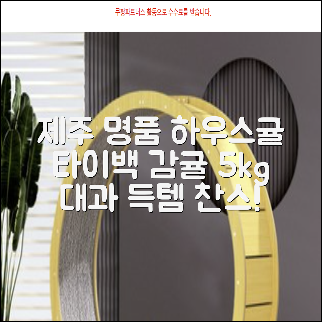 [산지당도선별] 제주 명품 하우스 귤 타이백 감귤, 1박스, 5kg 대과 추천 리뷰