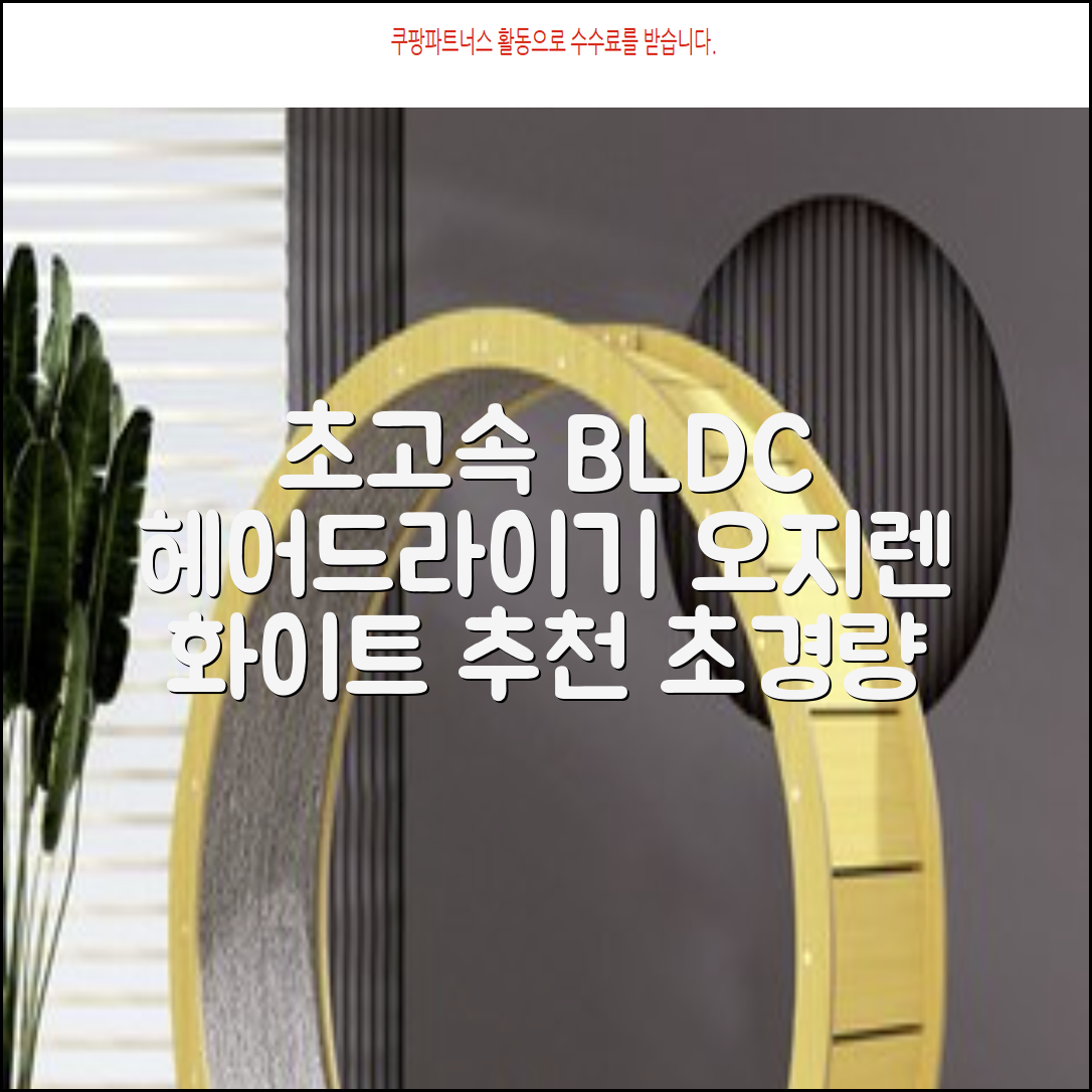 오지렌 초고속 고출력 초경량 음이온 BLDC 모터 헤어 드라이기, 화이트 추천 리뷰