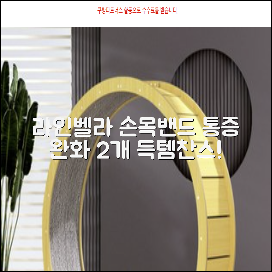 라인벨라 의료용 손목 압박용 밴드 블랙, 2개 추천 리뷰