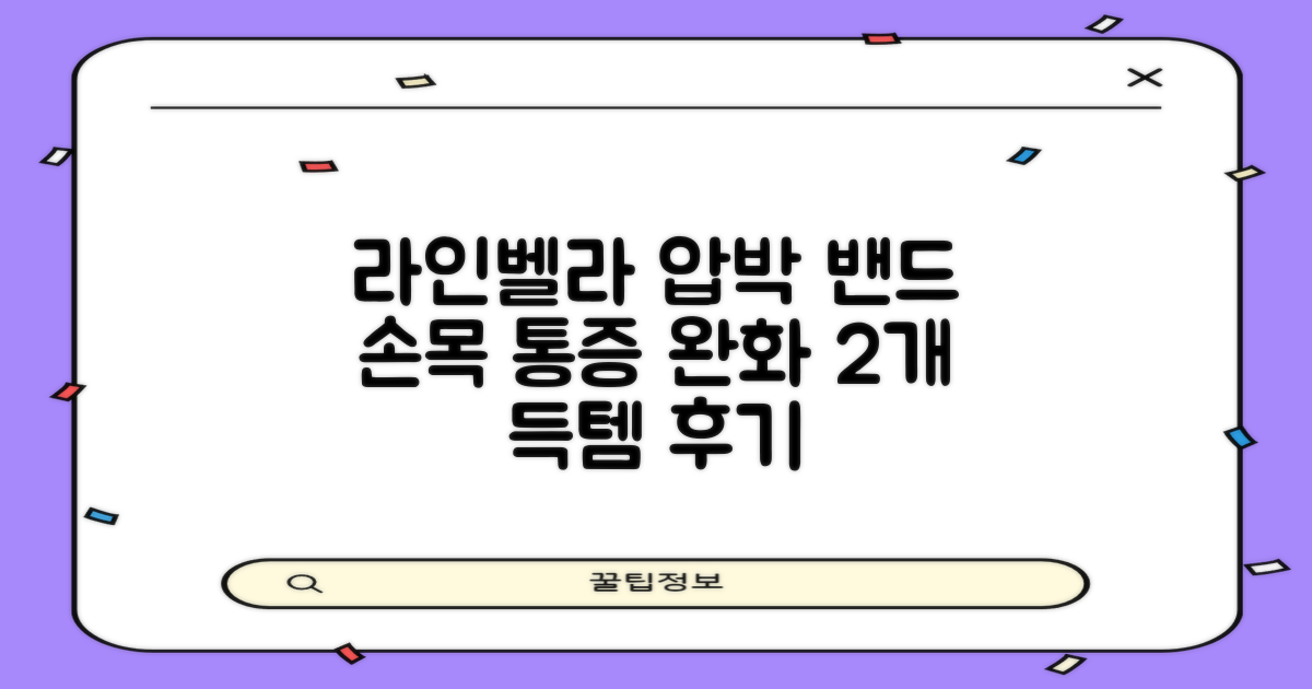 라인벨라 의료용 손목 압박용 밴드 블랙, 2개 추천 리뷰