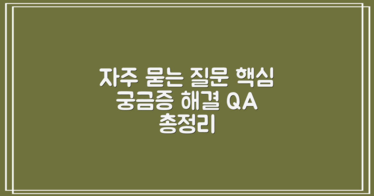 자주 묻는 질문