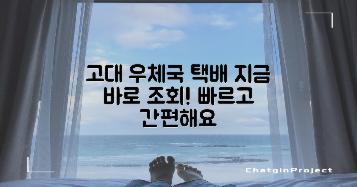 지금 바로 고려대학교우체국 택배 조회하세요
