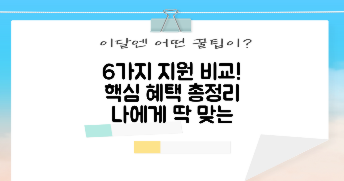 6가지 지원 항목 비교 분석