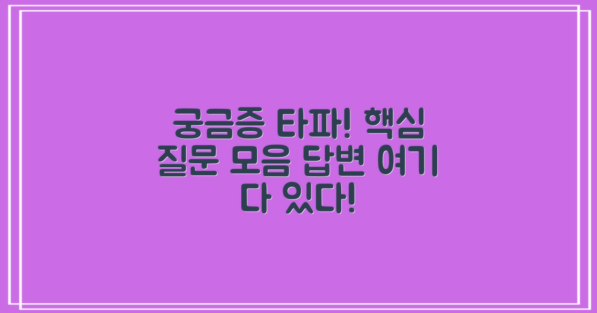 자주 묻는 질문